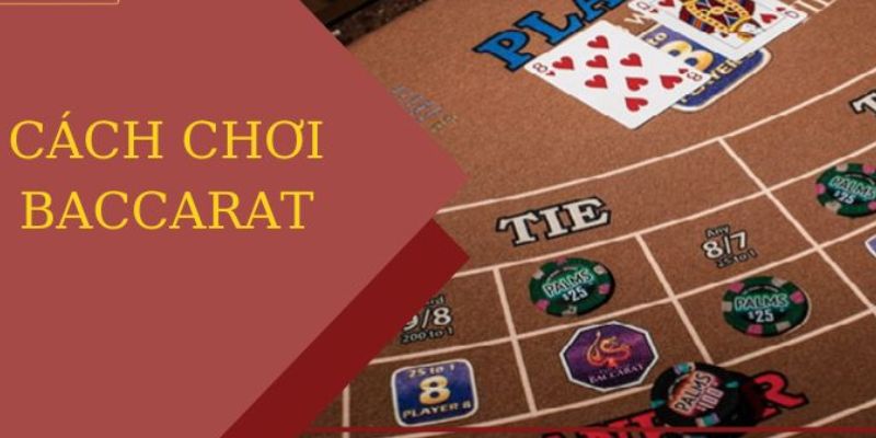 Cập nhật cách chơi Baccarat đầy đủ nhất